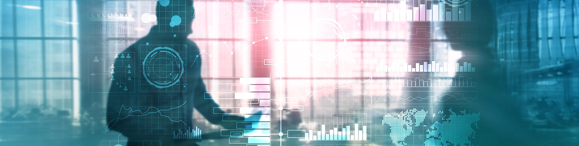 linkcs-data-identity
