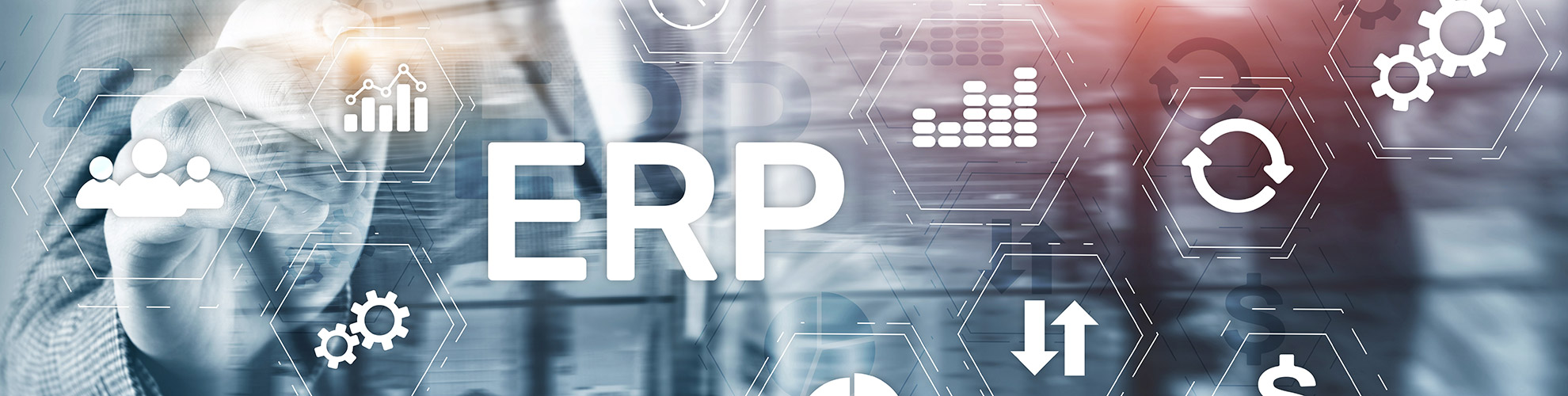 LINK-CS-ERP