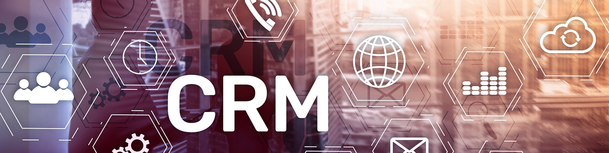 link-consulting-crm