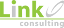 Link Consulting Services